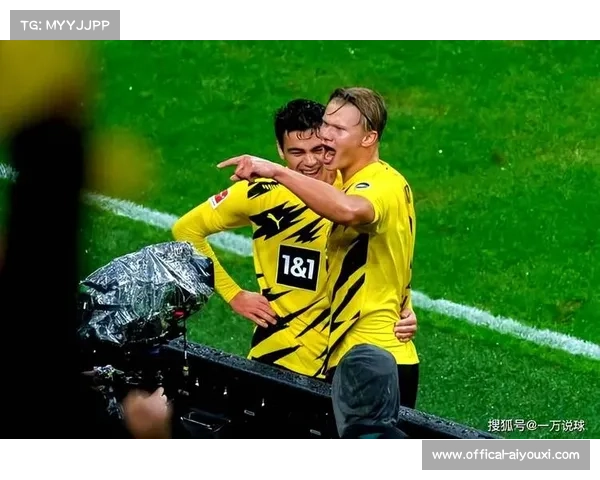 德甲欧冠资格竞争白热化，霍芬海姆少赛一场排第三